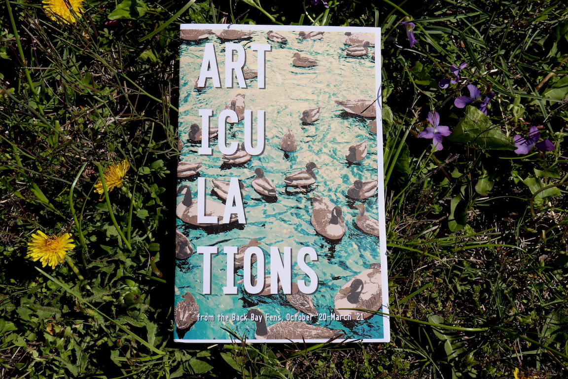A printed zine titled 'Articulations' with an aqua and brown, duck-patterned cover, sitting on grass