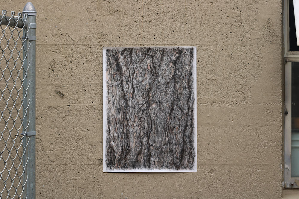 Full view of the work titled Middle, of hand-drawn tree bark