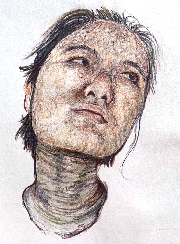 Photo of the drawing titled Untitled (Birch), a self-portrait in squiggly earthy colored pencil lines, the neck looking like a birch tree trunk