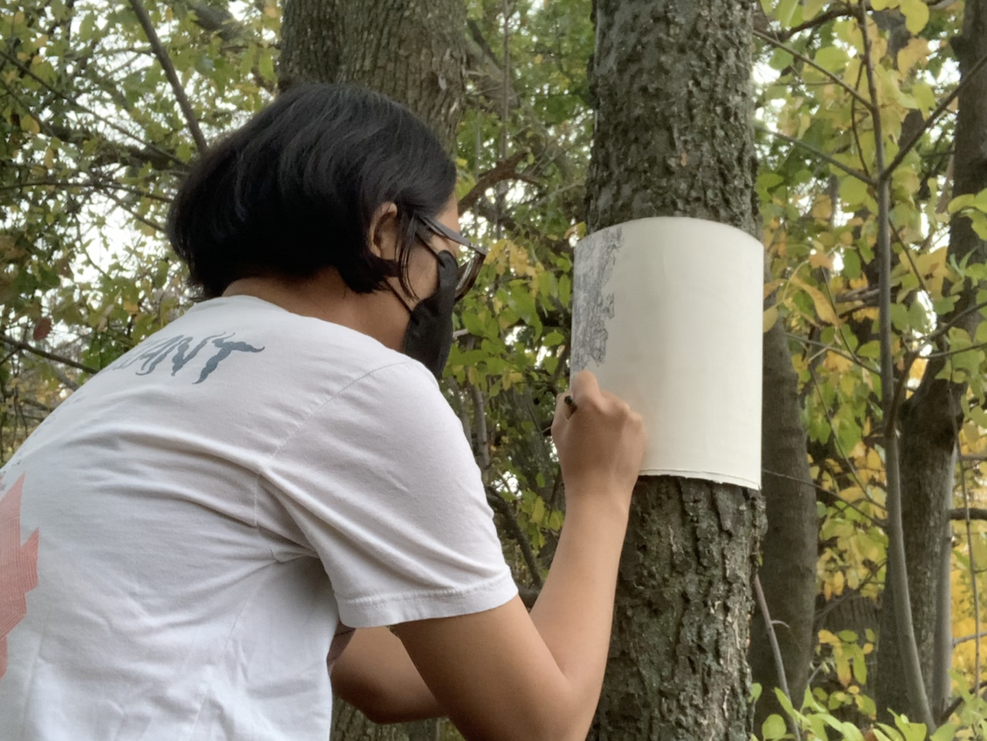 Martina in a woody area, drawing a tree's bark pattern on a sheet of paper wrapped around the tree itself